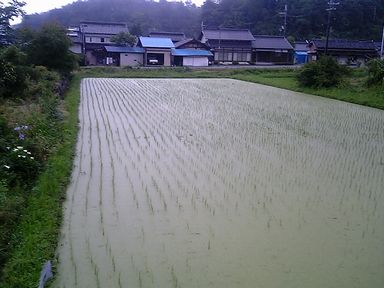 ���䤸���Ĥ��