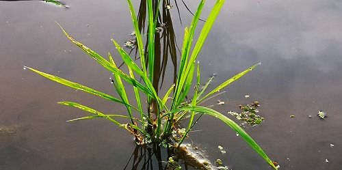 ¾¯¤·Ê¬¤±¤Ä¤ò»Ï¤á¤Æ¤¤¤Þ¤¹