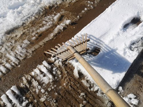 ��������Ҥä��������Ф��ޤ���