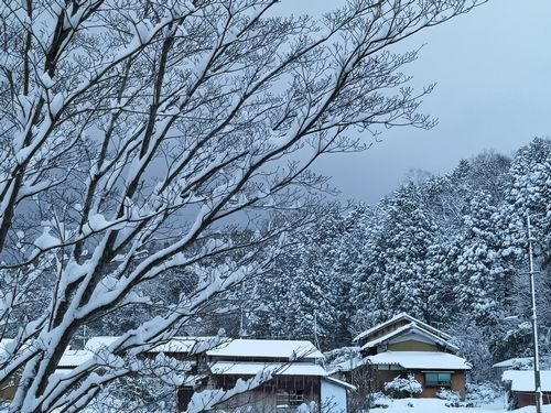 ³°¤Ï¿¿¤ÃÇò