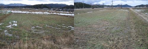 �إ��꡼�٥å��򼬤����Ĥ�ܤ��㤬�ۤȤ�ɾä��ޤ���