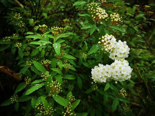 ���ǥޥ꤬�餭�Ϥ�ޤ���