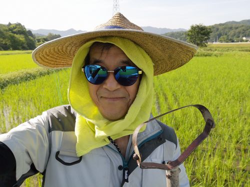 けずったろう除草作業