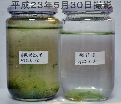 ���줫���ǯ�Фä��������