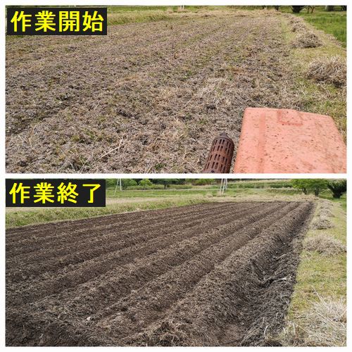 ¤¦¤ÍΩ¤ÆÁ°¤È¸å