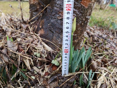 �����鲤ϣ���.�������