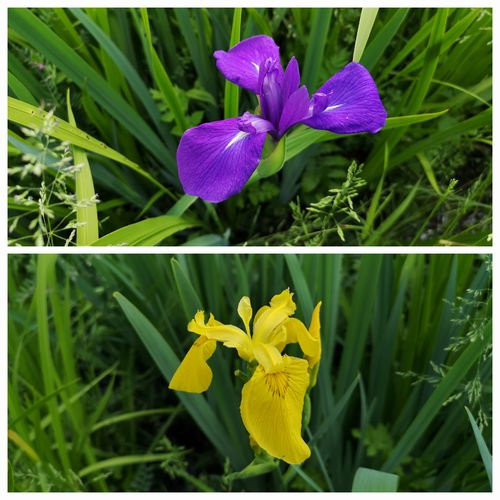 Åμã¡Ê¥«¥¥Ä¥Ð¥¿¡Ë¤¬ºé¤»Ï¤á¤Þ¤·¤¿