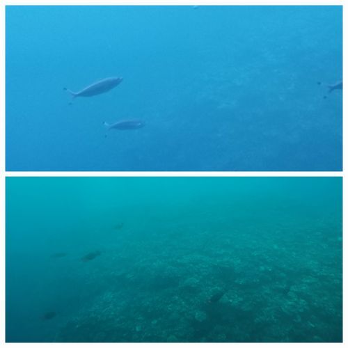 ���줬���饹ĥ��ˤʤäƤ��뤿��