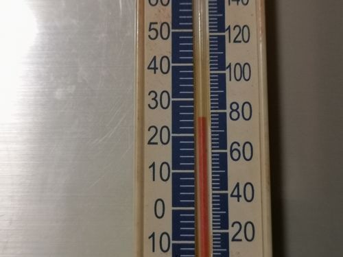 �����ϣ�����