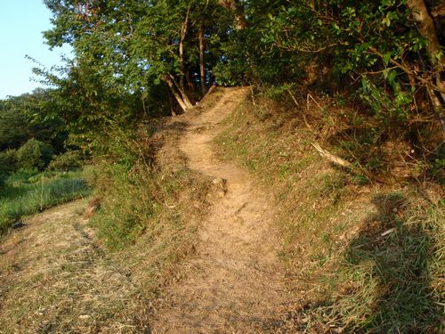 墓の登り道