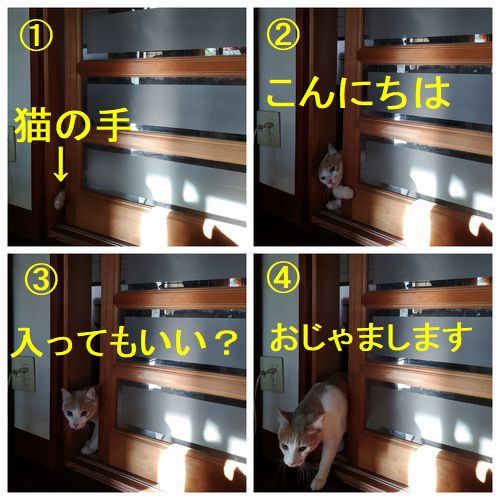 �ͤ򤳤����������äƤ��ޤ�