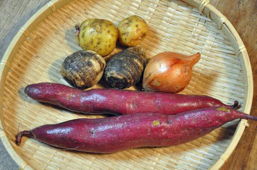 焼く芋は、有機JASの芋です