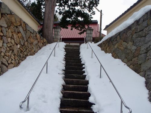 �˳ڻ�����