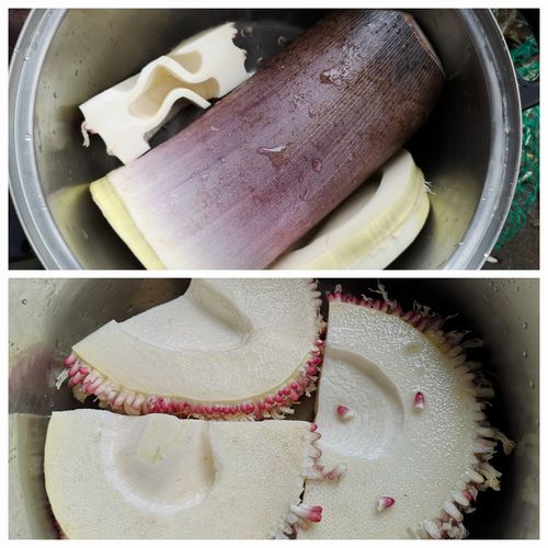 ���������Σ����觤Ǥޤ���