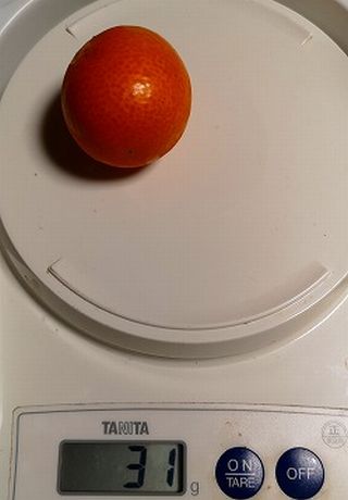 ������⤢��ޤ�