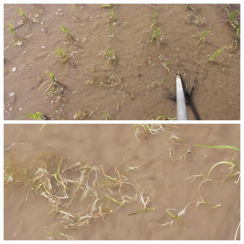 ���̤��⤤�Ƥ��ޤ�