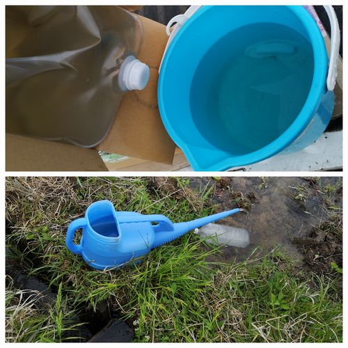 ή¤·¹þ¤à¤À¤±