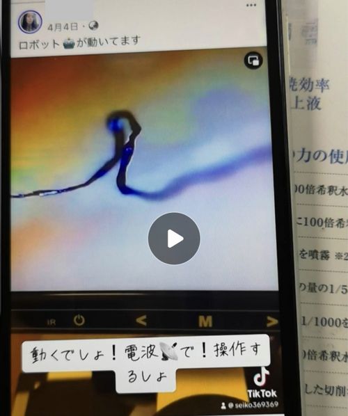 ���Ȥ����Ǥ���褦�Ǥ���