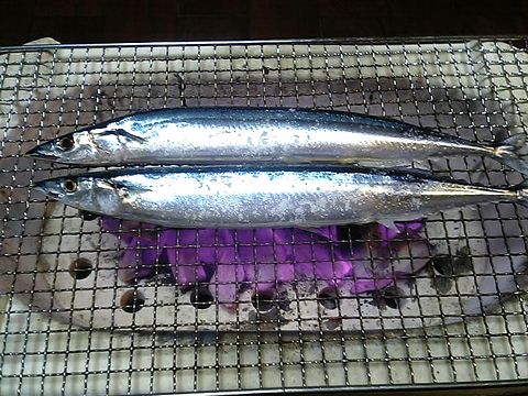 ����������ʾ夢�뽩�����;͵�ǾƤ��ޤ�