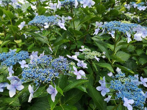 ���λ��۲֤�����Ǩ��� (2)