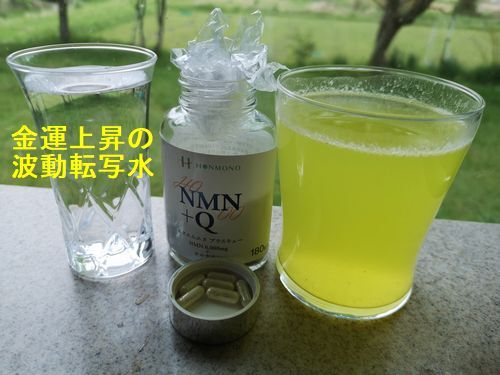 �Ɀ�徺����ưž�̿塡����