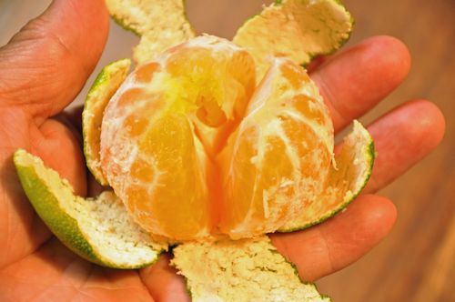 ���餬���������ߥ���Ǥ���