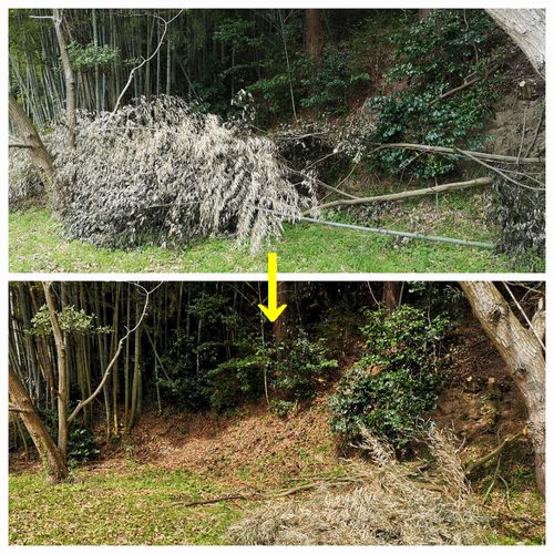 �����֤ۤɤ��������դ��ޤ���