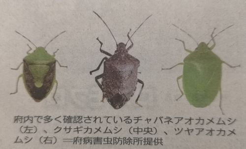 �̿����Ǻܤ���Ƥ��ޤ���