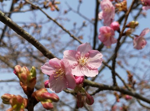 ���ź����餭�ʤ߻Ϥ�ޤ���