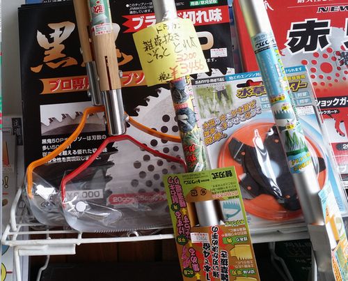 �羮�礭���ΰ㤦�֤�������Ϻ��