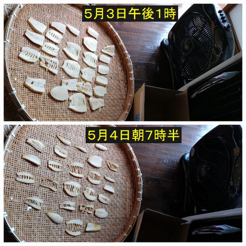 ¿·ÎÓ¤ÎÂì¤ÎÉ÷¤Ç