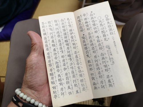 ���ῴ������