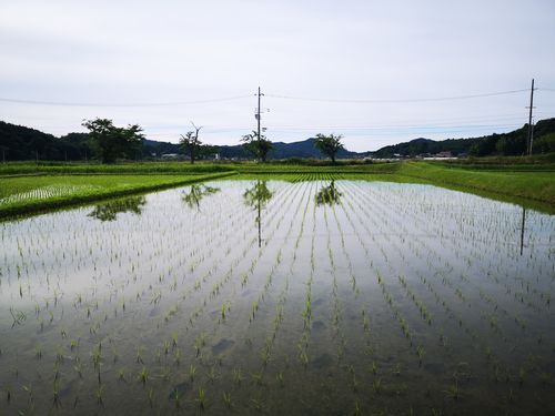 �������Ф��ޤ���