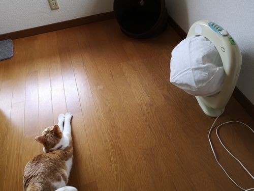 �Уͣ�.���Ȥ�Ȥ�ե��륿����