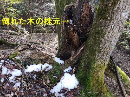 �����򸫤����äƤ��ޤ�����