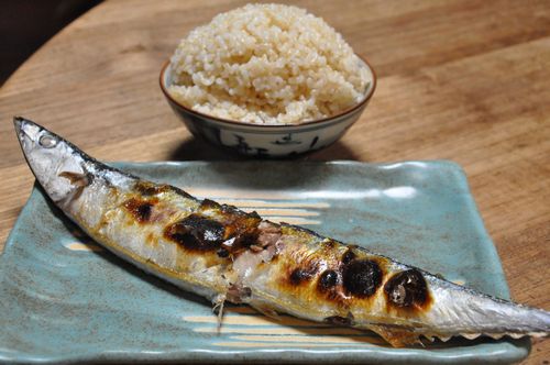 ȯ��⡼�ɸ��Ƥ��ӤǤ��������ޤ�