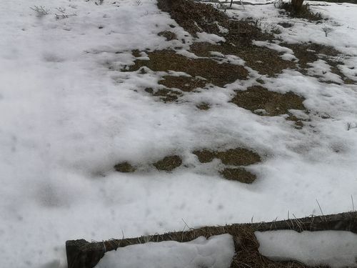 �꡹���̤������Ϥ�Ƥ��ޤ�