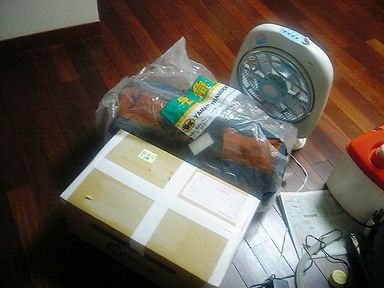 ���ʤ���©�Ҥβ�ʪ�˸����ƥޥ��ʥ�������Υ�������Ӥ��ޤ�