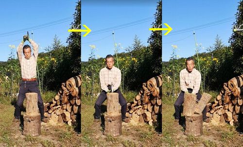 �ų䡡