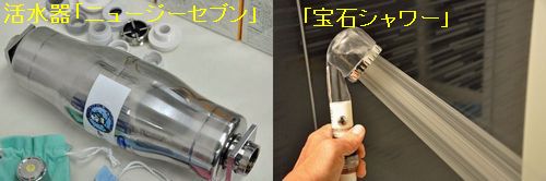 ��奷���إåɡ����Х�����