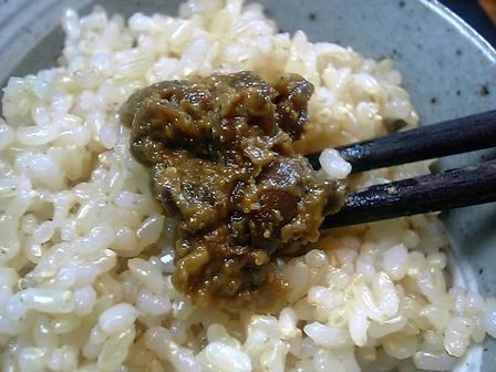 ȯ�긼�Ƥ��ӤǤ��������ޤ���