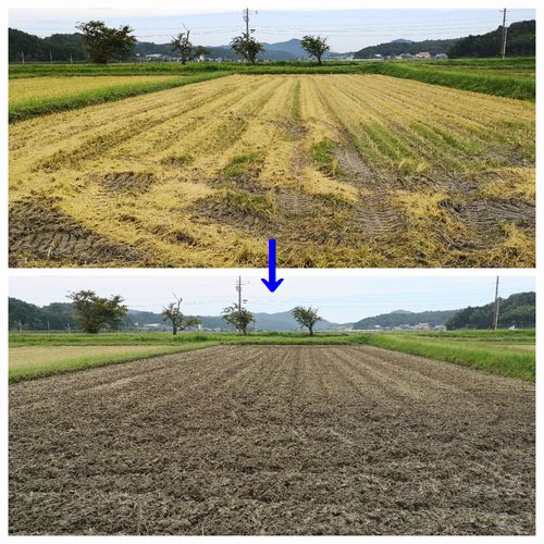 株飛ばし完了