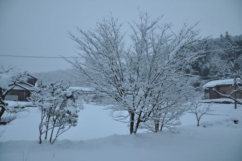 ��������ī���㲽�Ѥ�