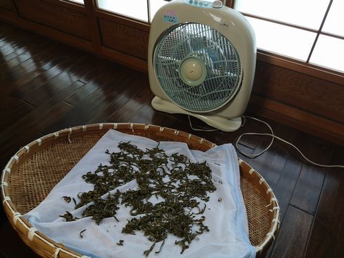 新林の滝の風で乾かす