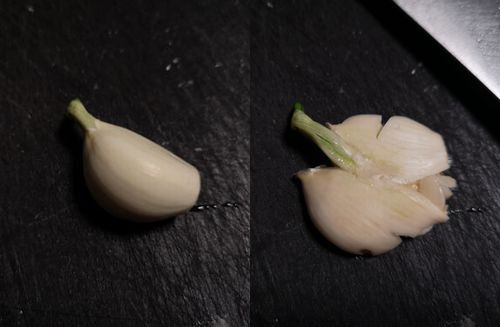 �˥�˥����Ҥ������ǲ����Ĥ֤��ޤ���