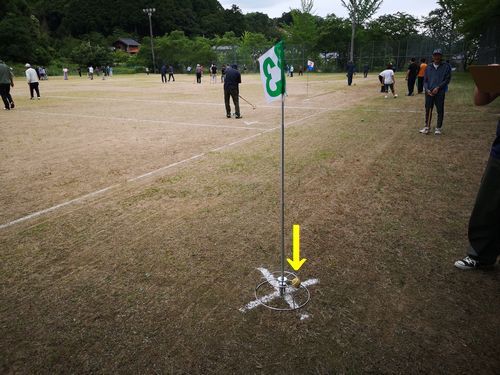 �ۡ��륤����ˤʤ�ޤ���