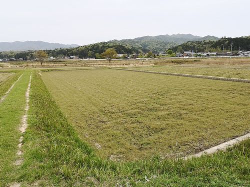 ��ǯ�ϴ����������ΤǤޤ��Ǥ��Ƥ��ޤ���