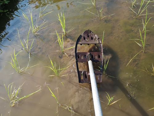 ��Ȭȿ�����