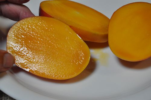 �����ڤ�ޤ�����