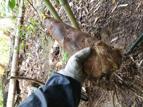 �֥������åȥ����ס�